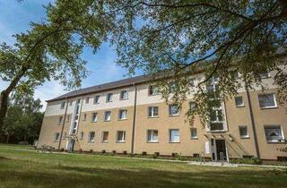 Wohnung mieten in Barmbeker Ring, 21502 Geesthacht, Ihr neues Zuhause: praktische 1,5-Zimmer-Single-Wohnung