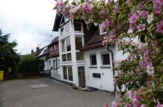 Wohnung mieten in Auf Der Meinhardt 45, 57076 Siegen, Helle und ruhige 1-Zimmer-Wohnung in Siegen-Weidenau