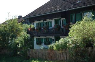 Wohnung mieten in Neufahrner Weg, 82057 Icking, Möblierte 1,5-Zimmer-Wohnung mit Balkon in Irschenhausen