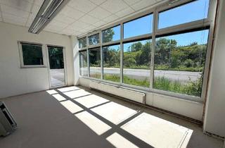 Büro zu mieten in Meißener Dorfstraße 35, 32423 Minden, Gewerbehalle mit Bürofläche in Minden -sofort verfügbar/optimale Erreichbarkeit (Kreuz B428/B65)