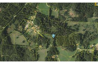 Grundstück zu kaufen in 82327 Tutzing, Freizeit-/Waldgrundstück in Ortsrandlage
