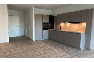 Wohnung mieten in 24837 Schleswig, Exklusive Erdgeschosswohnung in Schleswig an der Schlei