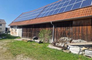Haus kaufen in 86502 Laugna, Handwerker aufgepasst! Wohnen und Arbeiten selbst gestalten
