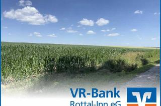 Immobilie kaufen in 84140 Dirnaich, Ackerfläche mit 19.448 m² Gemarkung Dirnaich - Bieterverfahren