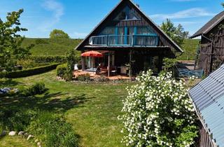 Einfamilienhaus kaufen in 25569 Kremperheide, Kremperheide - Ökologisch gebautes Holzhaus mit großem Nebengebäude