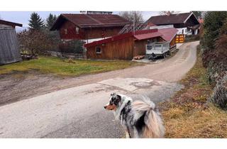 Einfamilienhaus kaufen in 83104 Tuntenhausen, Tuntenhausen - Einfamilienhaus im idyllischen Dorf, mit allem