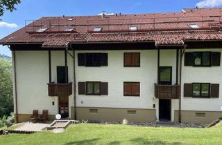 Wohnung kaufen in Weissenberg, 87547 Missen-Wilhams, Alpenflair inklusive: Attraktive 1-Zimmer-Wohnung als Feriendomizil im Allgäu