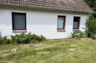Wohnung mieten in Thörener Straße 14, 29308 Winsen, Gemütliche 3-Zimmer-Erdgeschosswohnung mit großer Terrasse und Gartennutzung in Thören