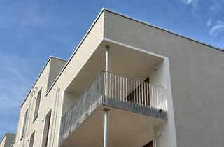 Wohnung mieten in Herbert-Belser-Ring, 63477 Maintal, Erstbezug im Neubauquartier Eichenheege – 4-Zimmer-Wohnung mit 2 Bädern
