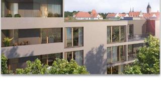 Penthouse mieten in Sarmanna-Straße 46, 93049 Westenviertel, Stilvolle, geräumige 3-Zimmer Penthouse Wohnung mit Dachterasse und EBK über den Dächern Regensburgs