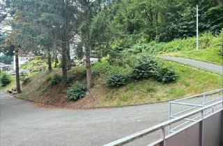 Wohnung mieten in Birkenstraße 20, 59909 Bestwig, *** WOHNEN wo andere Urlaub machen *** Familien aufgepaßt - TOP RENOVIERT ***