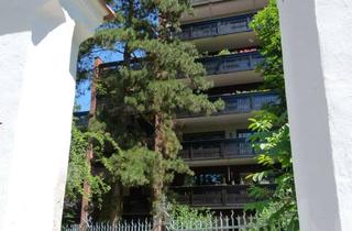Wohnung mieten in Kolpingstraße 483a, 84028 Altstadt, Dachterrassenwohnung mitten in der Stadt - Blick zur Burg und Martinskirche