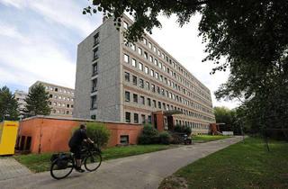 Wohnung mieten in Kaiser-Friedrich-Straße 133, 14469 Eiche, Kompakte 1-Zimmer-Wohnung in Potsdam Eiche