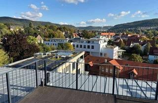Lofts mieten in Ziegelstraße 13, 73431 Aalen, Exklusive Loftwohnung mit Rundblick über Aalen