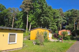 Haus kaufen in Am Golfplatz 5 a, 17419 Korswandt, Attraktives Ferienensemble auf großzügigem Naturgrundstück mit fünf modernisierten Bungalows