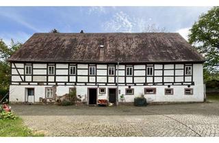 Bauernhaus kaufen in 04668 Thümmlitz, Bauernhaus mit Scheune bei Grimma