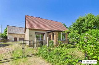 Einfamilienhaus kaufen in 39539 Havelberg, Ein Zuhause für Naturliebhaber – Einfamilienhaus mit unverbaubarem Blick auf die Havelauen