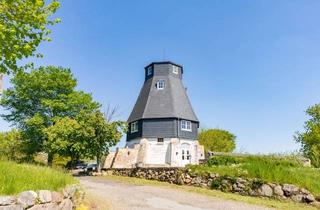 Haus mieten in 25876 Ramstedt, Besondere Gewerbeeinheit in einer Mühle mit Weitblick