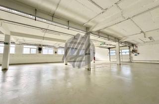 Büro zu mieten in 65719 Hofheim am Taunus, SCHNELL VERFÜGBAR ✓ Serviceflächen (220 m²) & Büroflächen (220 m²) zu vermieten