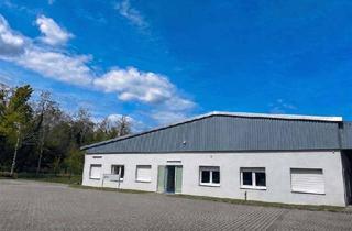 Büro zu mieten in 69181 Leimen, Vielseitige Gewerbehalle mit Büros & Sozialräumen- Top-Anbindung nähe Heidelberg!