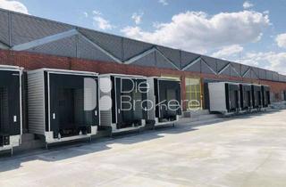 Gewerbeimmobilie mieten in 08451 Crimmitschau, Crimmitschau | Halle 15.000 m² + 10.000 m² Freifläche - provisionsfrei