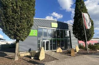 Büro zu mieten in 67227 Frankenthal, Multifunktionale Gewerbehalle mit Büro- und Sozialräumen- HR 4207