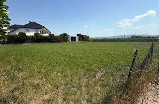 Grundstück zu kaufen in 68549 Ilvesheim, Schönes Grundstück im Neubaugebiet