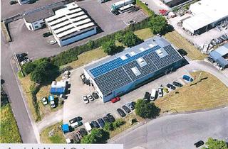 Gewerbeimmobilie mieten in Industriestr. 36, 54486 Mülheim, Vielseitig nutzbare Gewerbeimmobilie in Mülheim an der Mosel
