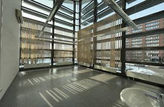 Büro zu mieten in Warnowallee 25, 18107 Lütten Klein, Raum für Ideen: Helle Bürofläche mit individuellem Zuschnitt!