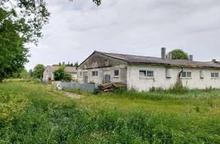 Lager kaufen in 06456 Sandersleben, Wer braucht Platz ?Großzügiges Grundstück mit Hallenbebauung