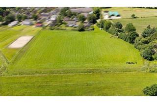 Immobilie kaufen in 25795 Weddingstedt, 1,4895 ha Grün- und 7,2568 ha Ackerland (arrondiert) in Weddingstedt zu verkaufen