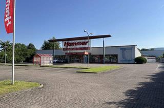 Gewerbeimmobilie kaufen in 31061 Alfeld (Leine), Fachmarktimmobilie als Eigennutz oder Investment in Alfeld-Leine