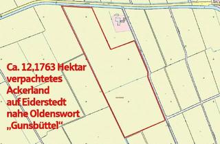 Gewerbeimmobilie kaufen in 25870 Oldenswort, Offenes Online Bieterverfahren! Ca. 12,1763 ha verpachtetes Ackerland in Oldenswort/Gunsbüttel