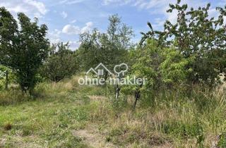 Gewerbeimmobilie kaufen in 67071 Ludwigshafen, Für Handwerker: 1.800 m² Freizeit- & Landwirtschaftsgrundstück mit Werkstatt