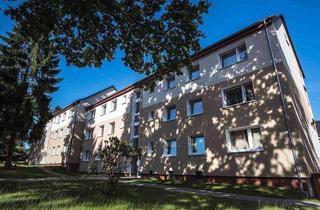 Wohnung mieten in Barmbeker Ring 14, 21502 Geesthacht, Endlich Zuhause: praktische 2,5-Zimmer-Wohnung