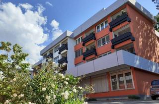 Wohnung mieten in Buchwaldweg 17, 69126 Boxberg, SENIORENWOHNUNG (ab 60): Selbständig und selbstbestimmt wohnen