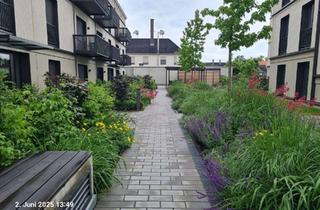 Wohnung mieten in Rielasinger Straße 140, 78224 Singen, Modernes Single-Appartement mit Sonnenterrasse