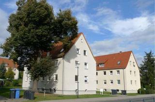Wohnung mieten in Goethestraße 17, 04617 Rositz, Gemütliche 2-Raum-Wohnung zu vermieten! (ME34)