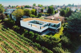 Villa kaufen in 74382 Neckarwestheim, HAUS AM WEINBERG - Architektonische Bauhausvilla in privilegierter Randlage mit Fernblick