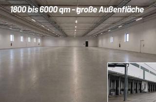 Gewerbeimmobilie mieten in 96224 Burgkunstadt, Ab 1800 qm (bis 6.000 qm) - Auch Kurzzeitmiete möglich - Moderne Logistik- und Lagerhallen mit Rampe