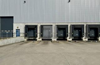 Gewerbeimmobilie mieten in 50226 Frechen, Provisionsfrei: Frechen | Rampenhalle, 24/7 Nutzung | Anmietung über Savills für E-Com & Fulfillment