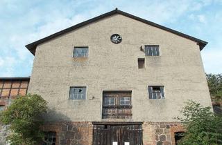 Haus kaufen in 17379 Ferdinandshof, Ferdinandshof - Historisches Mühlengebäude bei Usedom zu verkaufen