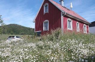 Haus kaufen in 97647 Nordheim, Nordheim vor der Rhön - Neubau Schwedisch TORP in der Rhön zuverk.