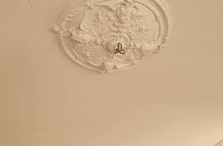 Wohnung mieten in 01445 Radebeul, Rarität - Neu sanierte 3-Zi Altbau-Wohnung in denkmalgeschützter Villa mit Garten