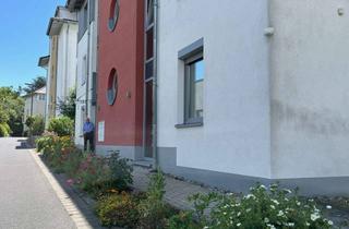 Wohnung mieten in 34121 Wehlheiden, Helle 2-Zimmer-Wohnung im Grünen, alters- und behindertengerecht, zentral gelegen