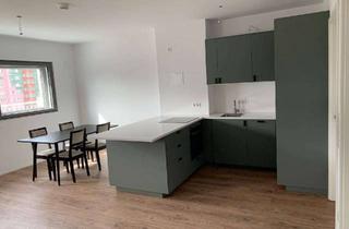 Penthouse mieten in 10315 Friedrichsfelde, Sonniges, modernes Penthouse mit EBK / Sunny, modern penthouse with kitchen
