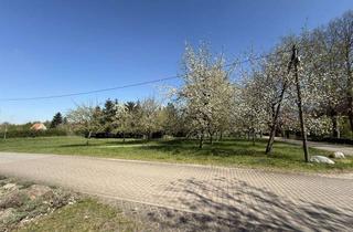 Grundstück zu kaufen in Dorfstraße, 17192 Varchentin, Baugrundstück in Groß Plasten OT Carolinenehof *** 2.000 m² *** hier ist vieles möglich!!! ***