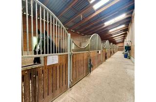 Immobilie kaufen in 95519 Vorbach, Reitanlage mit Entwicklungspotenzial nahe Bayreuth