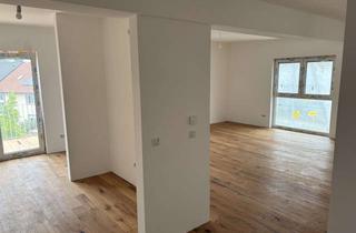 Wohnung mieten in 68549 Ilvesheim, Neubau Ilvesheim – hochwertige 1–4 Zimmerwohnungen mit Fußbodenheizung, Parkett & Balkon/Terrasse
