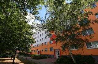Wohnung mieten in 06886 Lutherstadt Wittenberg, 2 Zimmer mit Balkon!